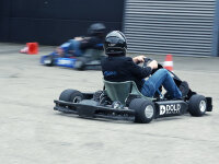 DOLD Motors DIY Elektro-Kart - komplett montiert - Ready to Race